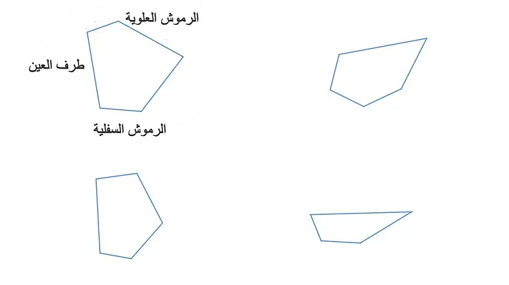 تعلم رسم عيون الانمي بطريقتي مع عدة أشكال مختلفة