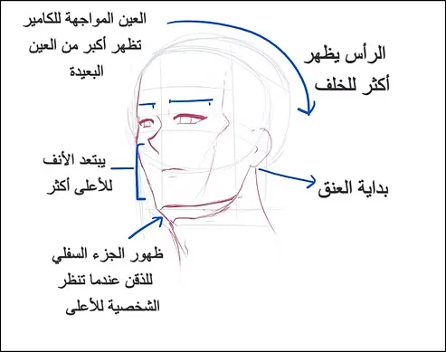 تعلم كيف ترسم وجه انمي من الأعلى مع شرح شامل