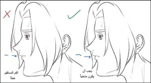 رسم وجه انمي من الجانب بالصور بطريقة محترفي الانمي مع سمر ارت