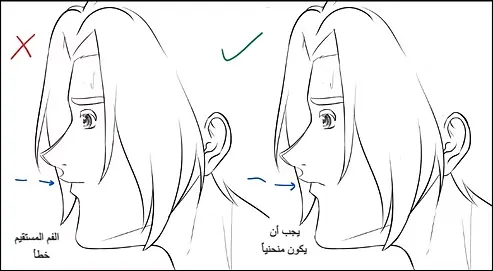 رسم وجه انمي من الجانب بالصور بطريقة محترفي الانمي