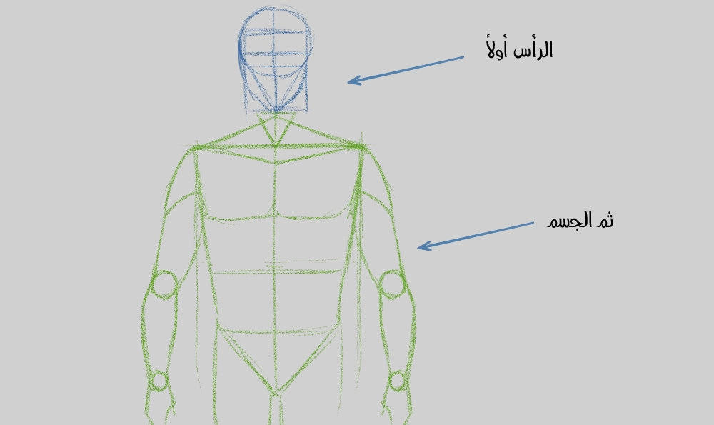 كيفية رسم جسم الذكور بطريقة الانمي الصحيحة - سمر ارت