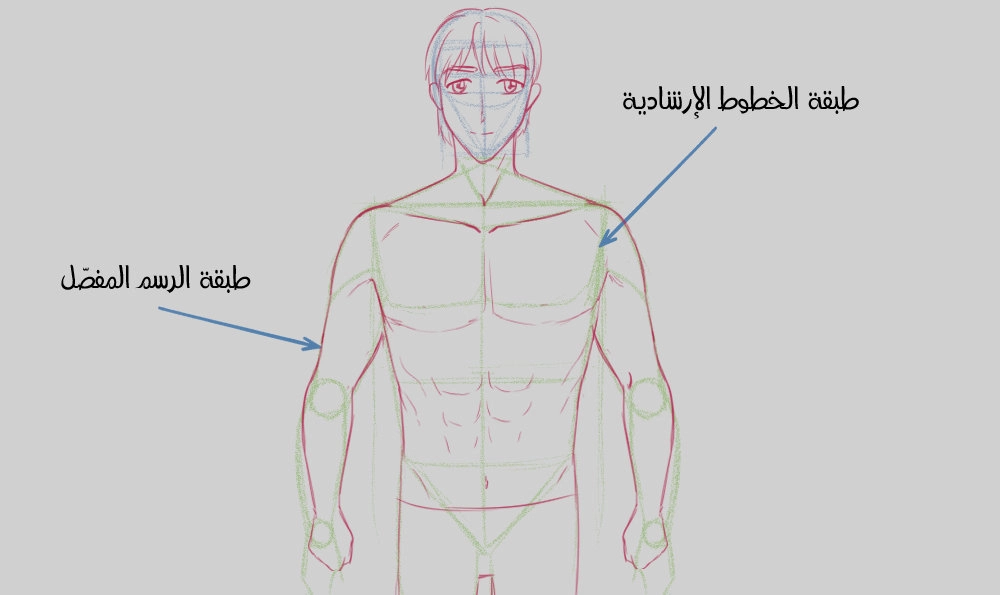 كيفية رسم جسم الذكور بطريقة الانمي الصحيحة - سمر ارت