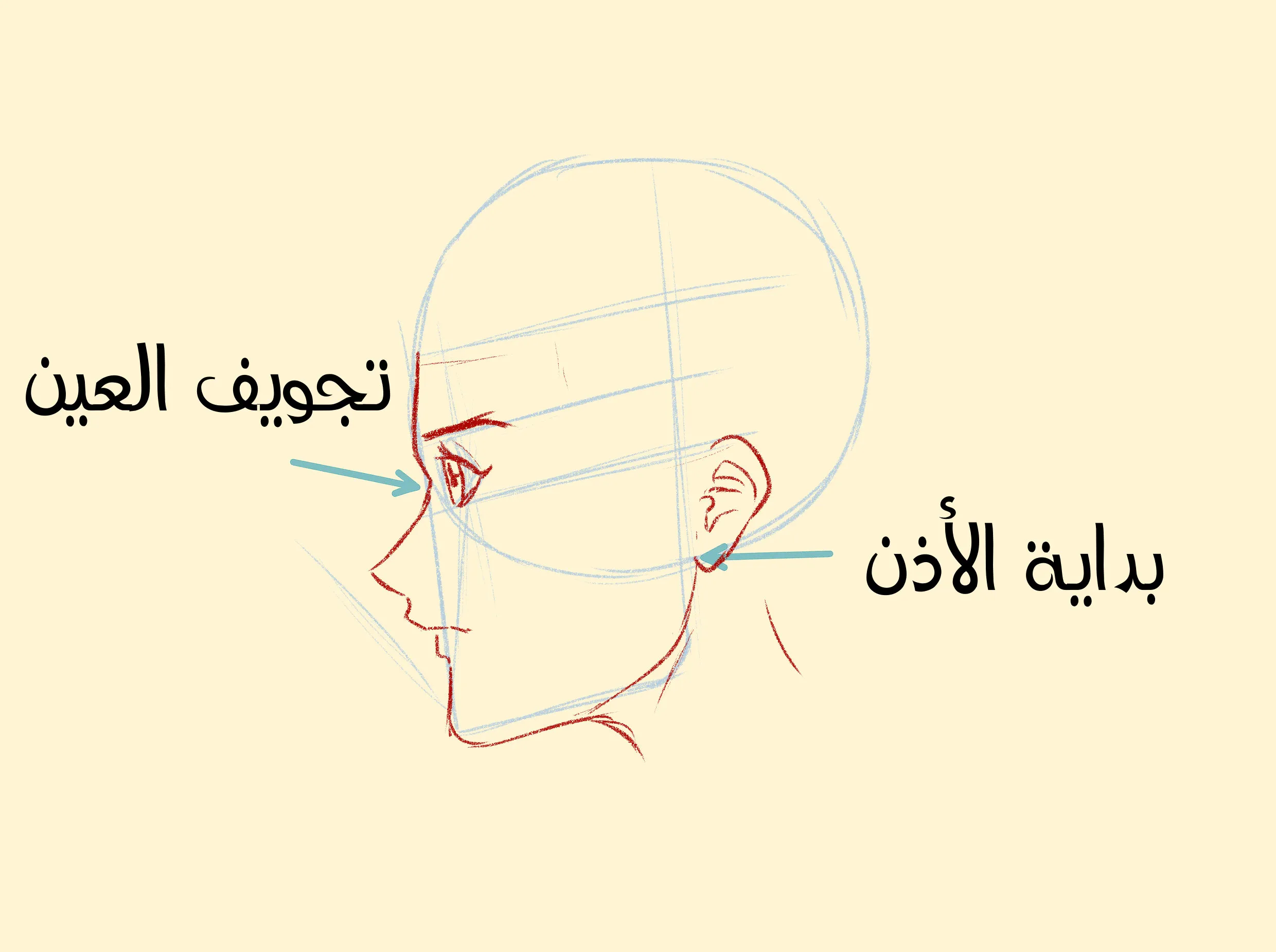 احترف رسم وجه الانمي من الجانب بأسهل طريقة ممكنة مع سمر ارت