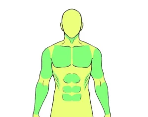 تعلم رسم جسم الإنسان درس رسم للمبتدئين بالخطوات سمر ارت