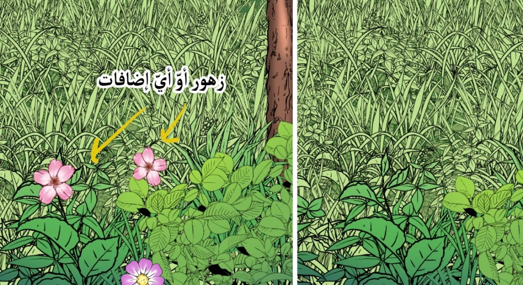 إنشاء مناظر طبيعية جميلة باستخدام فرش الرسم وبدون رسمCreating Beautiful Landscapes with Paintbrushes and No Drawing