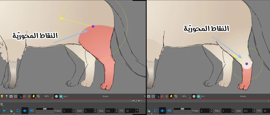 تحويل الخروف إلى قط مع الاحتفاظ بعظام التحريك Transforming a Sheep into a Cat While Preserving the Animation Rig